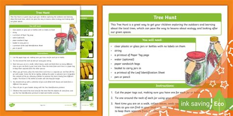 Tree hunt - Parent Resource - Identify and Collect Leaves