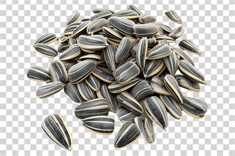 Sunflower Seeds Isolated On Transparent Background PNG Premium AI