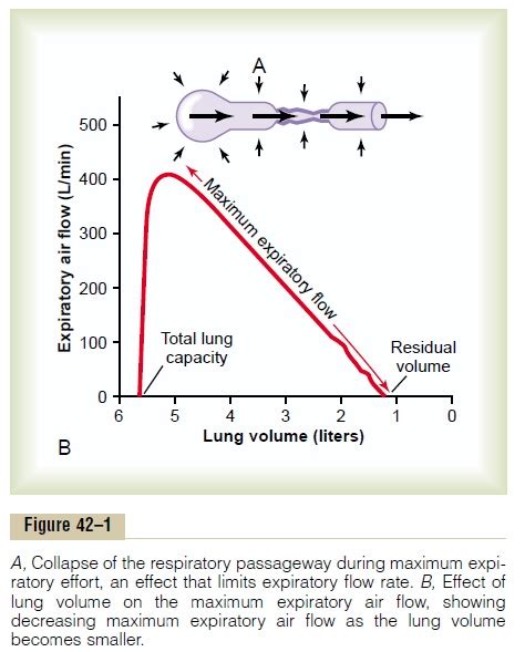 Respiratory Insufficiency Pathophysiology Diagnosis Oxygen Therapy