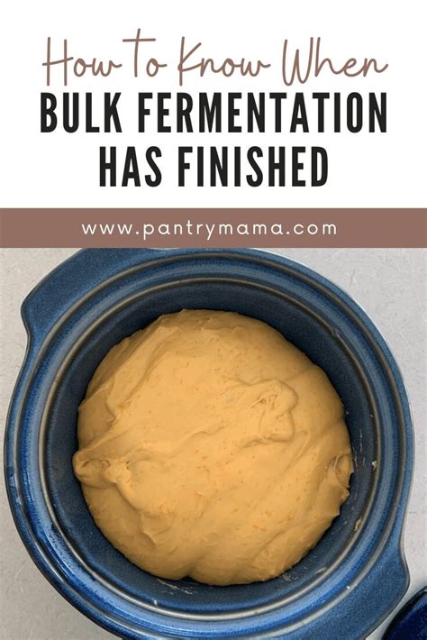 How Do You Know When Bulk Fermentation Has Finished The Pantry Mama