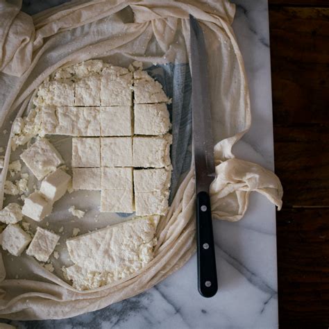 homemade paneer fresh indian cheese recipe  food