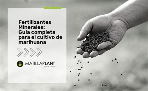 Fertilizantes Minerales Gu A Completa Para El Cultivo De Marihuana