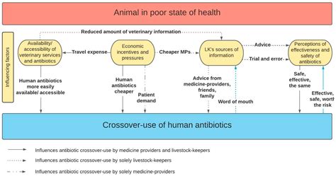 Antibiotics Free Full Text Crossover Use Of Human Antibiotics In