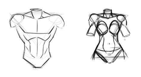 How To Draw The Human Body Skillshare Blog In 2024 Body Sketches