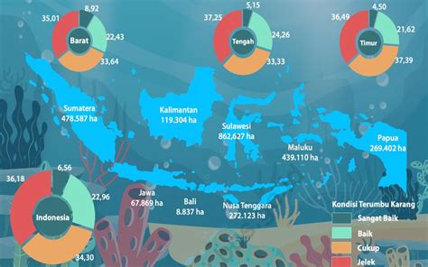 Manfaat Terumbu Karang Di Kehidupan Sehari Hari Sumber Pangan Laut Biorock Indonesia