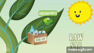 Photosynthesis | Educational Video for Kids on Make a GIF