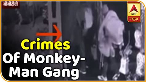 Metro Crime Delhi S Monkey Man Gang Loot A House In Dwarka ABP