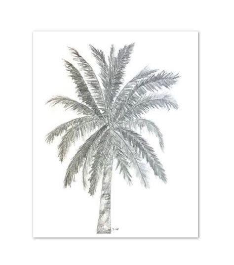 Palm Tree Pencil Drawing at PaintingValley.com | Explore collection of ...