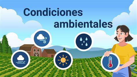 Cu L Es La Temperatura Del Agua En Condiciones Ambientales Todo