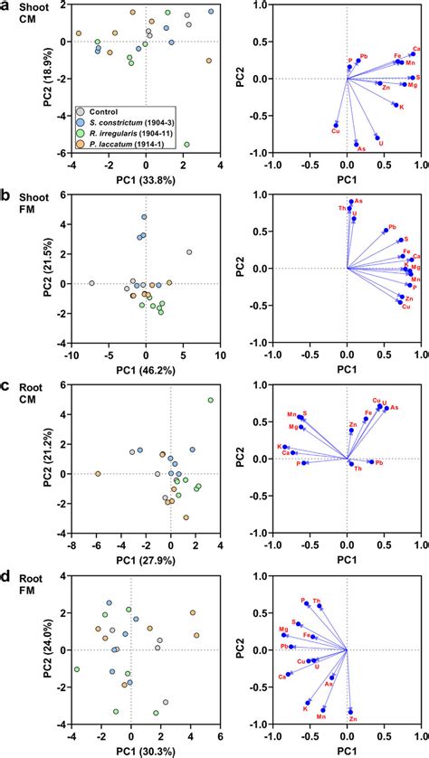 Principal Component Analysis Pca Biplots Left And Loading Plots