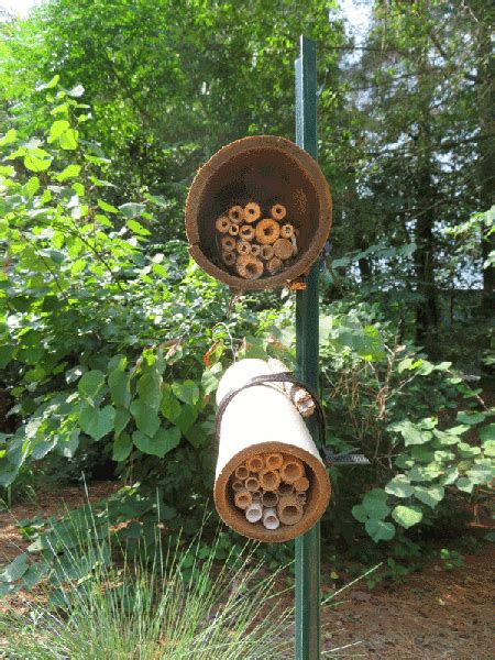 What is a Bee Hotel? | NC State Extension Publications