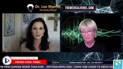 How To Watch And Stream Karen Kingston W Dr Lee Merritt On Big Pharma