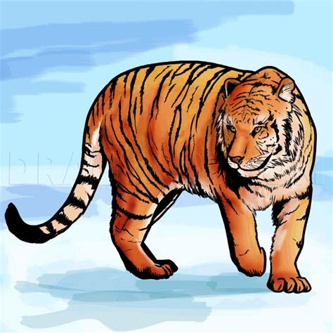 A Drawing Of A Tiger Walking In The Snow With Blue Sky Behind It And