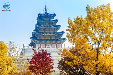 Tour Hàn Quốc: Seoul - Nami - Everland 5 ngày 4 đêm | Khám phá xứ sở kim chi