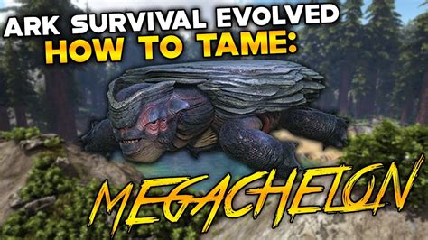 Ark Survival Evolved How To Tame Megachelon Youtube