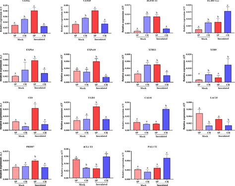 Expression Levels Of Cell Wall Genes In Sp And Chunee Roots Of