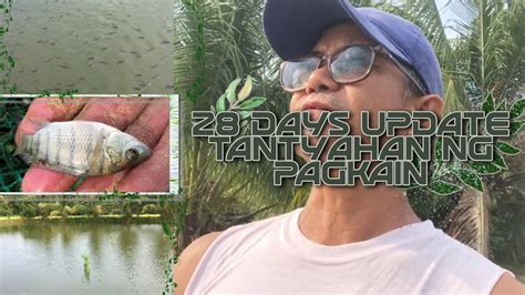 TILAPIA BASIC TIPS 30 TAMANG PAGPAPALIT NG TUBIG AT TUWING KAILAN