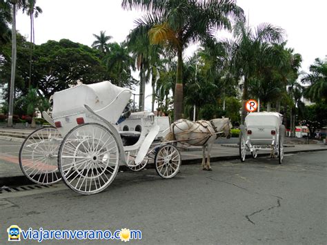 Palmira (Valle del Cauca). - Viajar en Verano