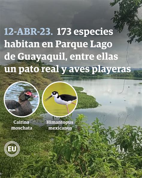 El Universo on Twitter Parque Lago de Guayaquil tiene una extensión