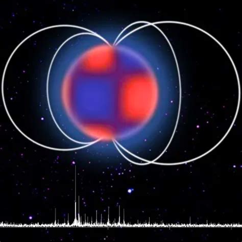 Finger On The Pulse Of Magnetic Fields On Delta Scuti And Gamma Dor