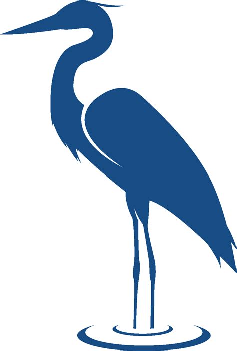 Clipart Blue Heron Png Download Full Size Clipart 5419639 Pinclipart