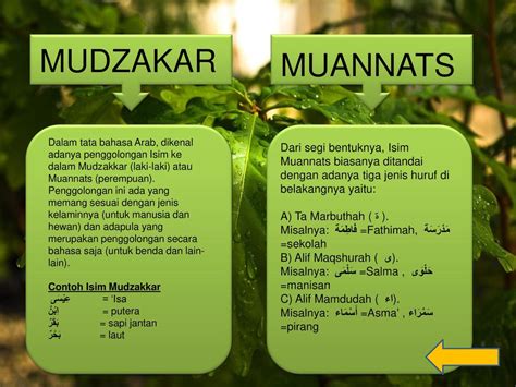 Detail Contoh Isim Mudzakkar Dalam Al Quran Koleksi Nomer 41