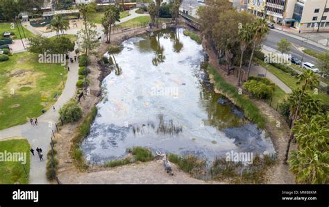 La brea tar pits los hi-res stock photography and images - Alamy