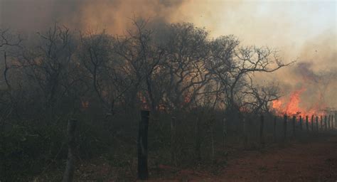 Incendios Consumen En Ecuador Casi 15000 Hectáreas En Menos De Tres