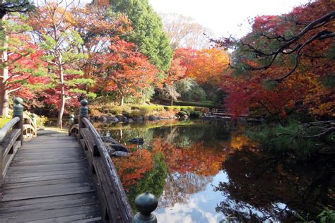 栃木県中央公園の紅葉｜紅葉情報2024