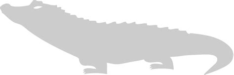 Alligator 36628566 Vector Art at Vecteezy