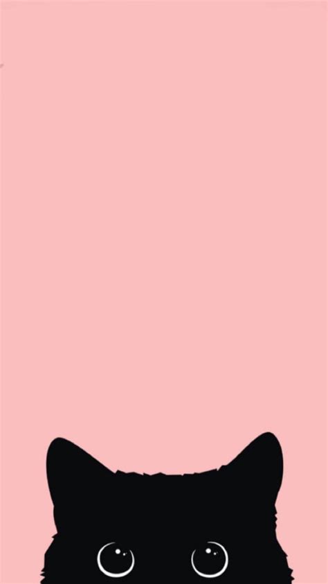 Pink Cat Wallpapers - Wallpaper Cave