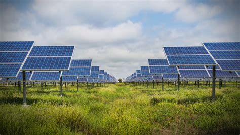 Solar Powered Farms Emerge As Cost Effective Solutions For Farmers Giving Compass