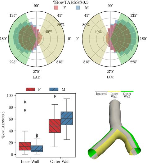 Figure 1 From Sex Specific Variances In Anatomy And Blood Flow Of The