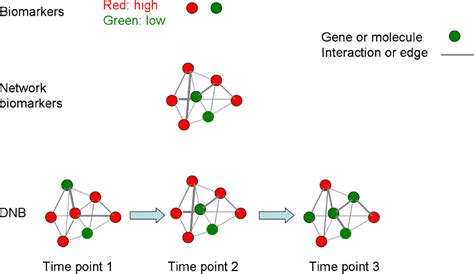 Network Biomarkers Interaction Networks And Dynamical Network