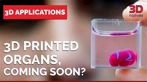 How Soon Are D Printed Organs Coming Youtube