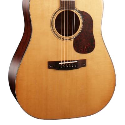 Cort Goldd Gold Series Acoustic Dreadnought Guitar Natural Reverb