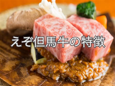 松阪牛（松坂牛）の特徴は？どんなお肉で定義や産地はどこ？なぜこんなに高いのか？ お肉の専門書