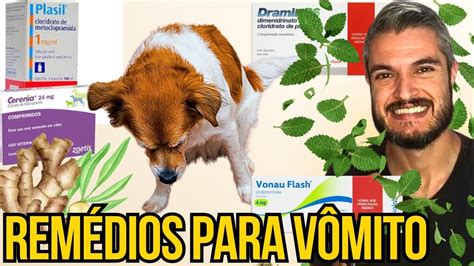 REMÉDIOS PARA CACHORRO VOMITANDO SAIBA O QUE FAZER QUANDO O CÃO VOMITAR