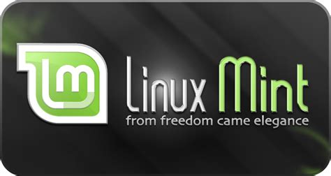 Linux Mint Cosas Que Hacer Despu S De Instalar Zarabarandula