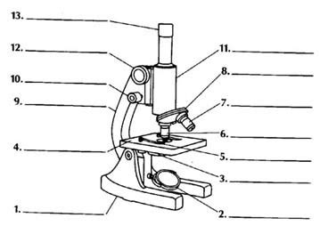 Parts Of A Microscope Diagram Quizlet