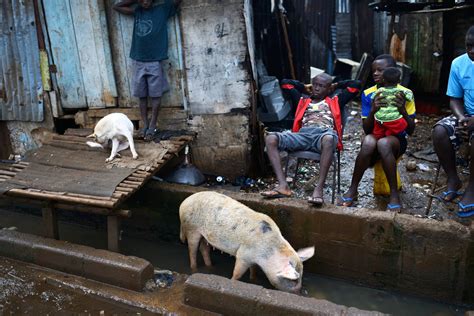 Lockdown Begins In Sierra Leone To Battle Ebola The New York Times