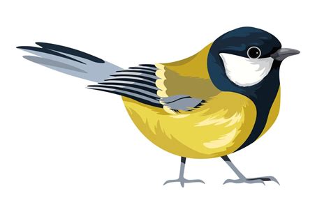 American Goldfinch Avian Animal With Plumage 17519919 Vector Art At