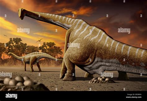 A Female Apatosaurus Laying Her Eggs In Nest Stock Photo Alamy