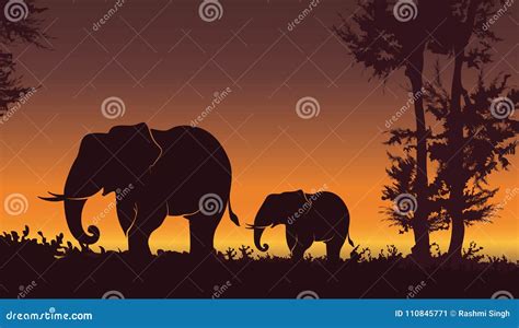 Beautiful Sunset with Elephant. Baby Elephant with Mom, Nature ...