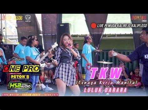 TKW Tenaga Kerja Wanita ONE PRO Live Pemuda Kalirejo Kaliploso Hsb