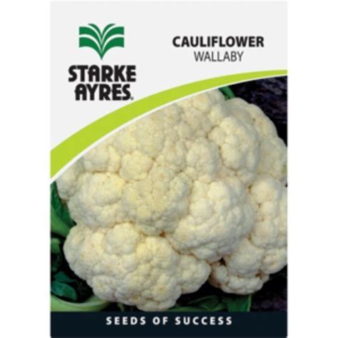 Starke Ayres Cauliflower Variety Vegetable Seeds Offer At Shoprite