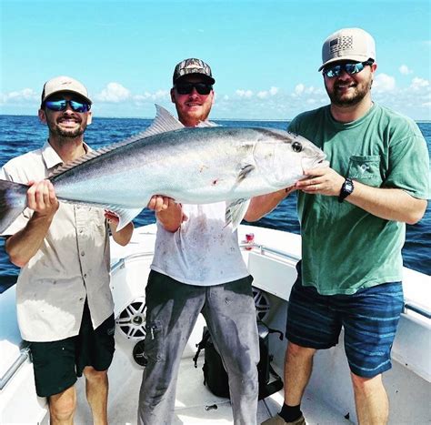 Vermilion Snapper Your Ultimate Guide To This Extraordinary Fish