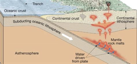 Quiz Unit Weathering Erosion And Deposition P Flashcards