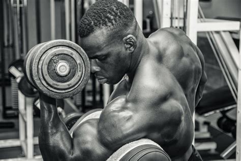 10 Best Bicep Exercises to Add Volume | Gym Junkies