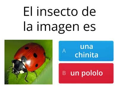 Crucigrama insectos Recursos didácticos